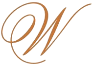 websterandco logo icon